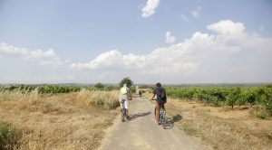 Team-building rallye vélo